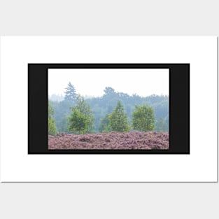 Heathland, morning mist, heather bloom, Niederhaverbeck Posters and Art